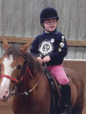 Daisy Horse