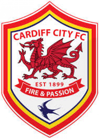 Cardiff City Foobtall Club