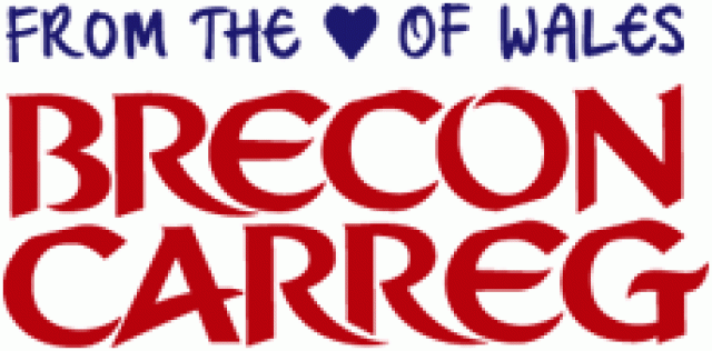 Brecon Carreg supporting Follow Your Dreams
